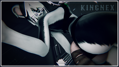 ♰ C H R O N I C ♰